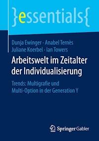 Arbeitswelt im Zeitalter der Individualisierung - Dunja Ewinger - E-Book