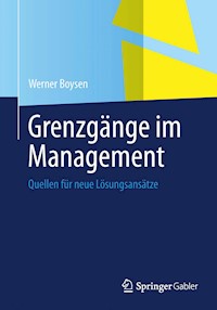 Grenzgänge im Management - Werner Boysen - E-Book
