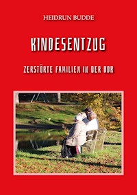 Kindesentzug - Heidrun Budde - E-Book