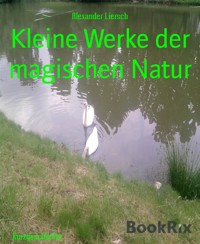 Kleine Werke der magischen Natur - Alexander Liersch - E-Book