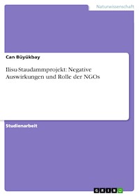 Ilisu-Staudammprojekt: Negative Auswirkungen und Rolle der NGOs - Can Büyükbay - E-Book