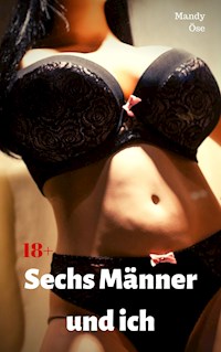 Sechs Männer und ich - Mandy Öse - E-Book