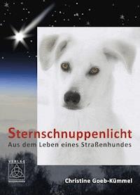 Sternschnuppenlicht - Christine Goeb-Kümmel - E-Book