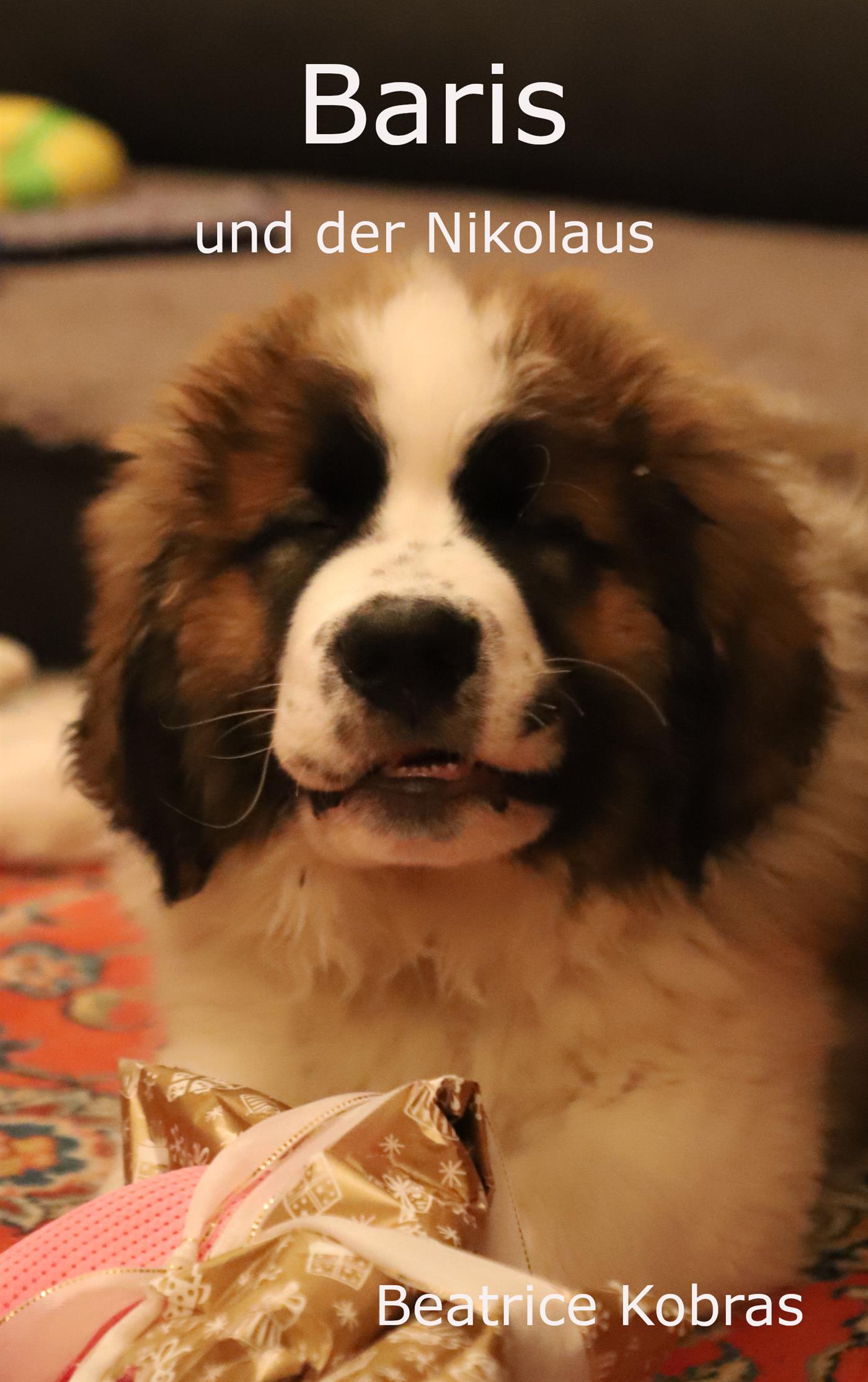 Baris und der Nikolaus - Beatrice Kobras - E-Book