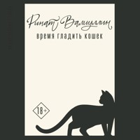 Время гладить кошек - Ринат Валиуллин - Hörbuch