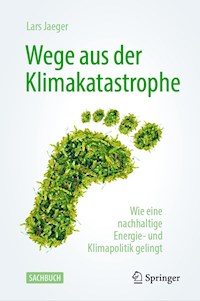 Wege aus der Klimakatastrophe - Lars Jaeger - E-Book