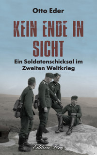 Kein Ende in Sicht - Otto Eder - E-Book + Hörbuch
