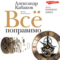 Всё поправимо - Александр Кабаков - Hörbuch
