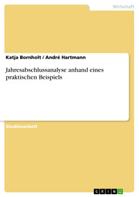 Jahresabschlussanalyse anhand eines praktischen Beispiels - Katja Bornholt - E-Book