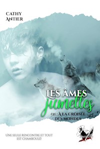 Les âmes jumelles - Tome 2 - Cathy Antier - E-Book