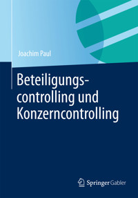 Beteiligungscontrolling und Konzerncontrolling - Joachim Paul - E-Book