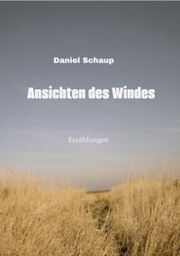 Ansichten des Windes - Daniel Schaup - E-Book