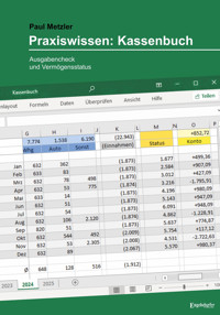 Praxiswissen: Kassenbuch - Paul Metzler - E-Book