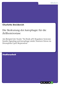 Die Bedeutung der Autophagie für die Zellhomöostase - Charlotte Breidenich - E-Book