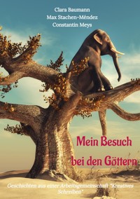 Mein Besuch bei den Göttern - Clara Baumann - E-Book