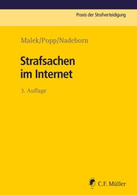 Strafsachen im Internet - Andreas Popp - E-Book