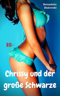 Chrissy und der große Schwarze - Bernadette Binkowski - E-Book