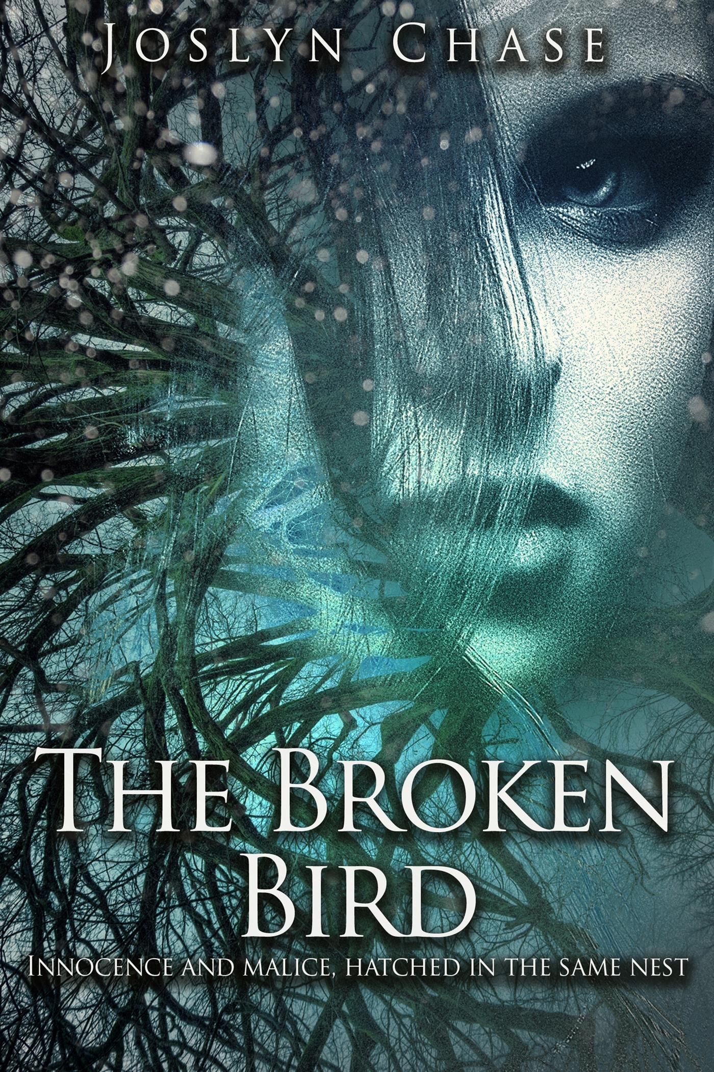 The Broken Bird - Joslyn Chase - kostenlos E-Book