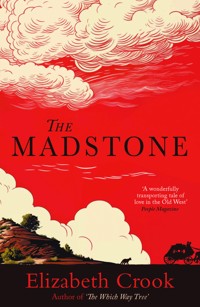 The Madstone - Elizabeth Crook - E-Book
