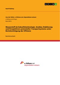 Wasserstoff als Zukunftstechnologie. Ansätze, Etablierung und Perspektiven potenzieller Transportsysteme unter Berücksichtigung der Effizienz - Hanif Rahimy - E-Book