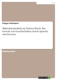 Makrokriminalität im Dritten Reich. Die Gewalt von Gesellschaften durch Sprache und Gesetze - Holger Hofmann - kostenlos E-Book