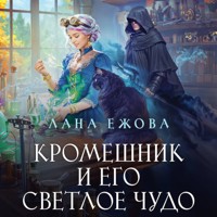Кромешник и его светлое чудо - Лана Ежова - Hörbuch