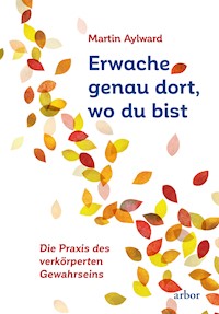 Erwache genau dort, wo du bist - Martin Aylward - E-Book