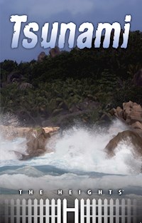 Tsunami -  - E-Book