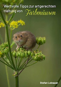Wertvolle Tipps zur artgerechten Haltung von Farbmäusen - Stefan Leinauer - E-Book