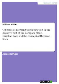 On zeros of Riemann's zeta function in the negative half of the complex plane. Dirichlet lines and the concept of Riemann lines - William Fidler - E-Book