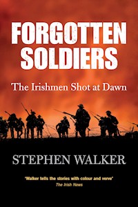 Forgotten Soldiers - Stephen Walker - E-Book