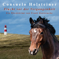 Flucht vor der Vergangenheit - Frank Zawierucha - Hörbuch