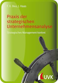 Praxis der strategischen Unternehmensanalyse - Jürgen Haas - E-Book