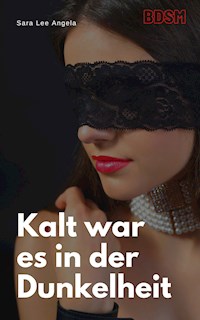 Kalt war es in der Dunkelheit - Sara Lee Angela - E-Book