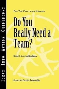 Do You Really Need a Team? -  - E-Book