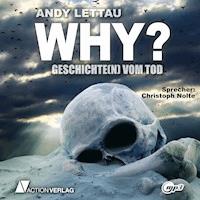 Why? - Andy Lettau - Hörbuch