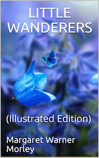 Little Wanderers - Margaret Warner Morley - E-Book