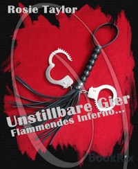 Unstillbare Gier - Flammendes Inferno - Rosie Taylor - E-Book