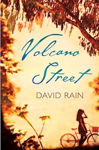 Volcano Street - David Rain - E-Book