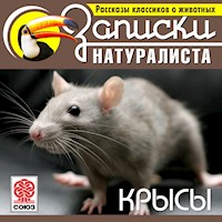 Крысы - Ч. Робертс - Hörbuch