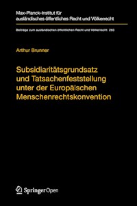 Subsidiaritätsgrundsatz und Tatsachenfeststellung unter der Europäischen Menschenrechtskonvention - Arthur Brunner - kostenlos E-Book