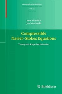 Compressible Navier-Stokes Equations - Pavel Plotnikov - E-Book