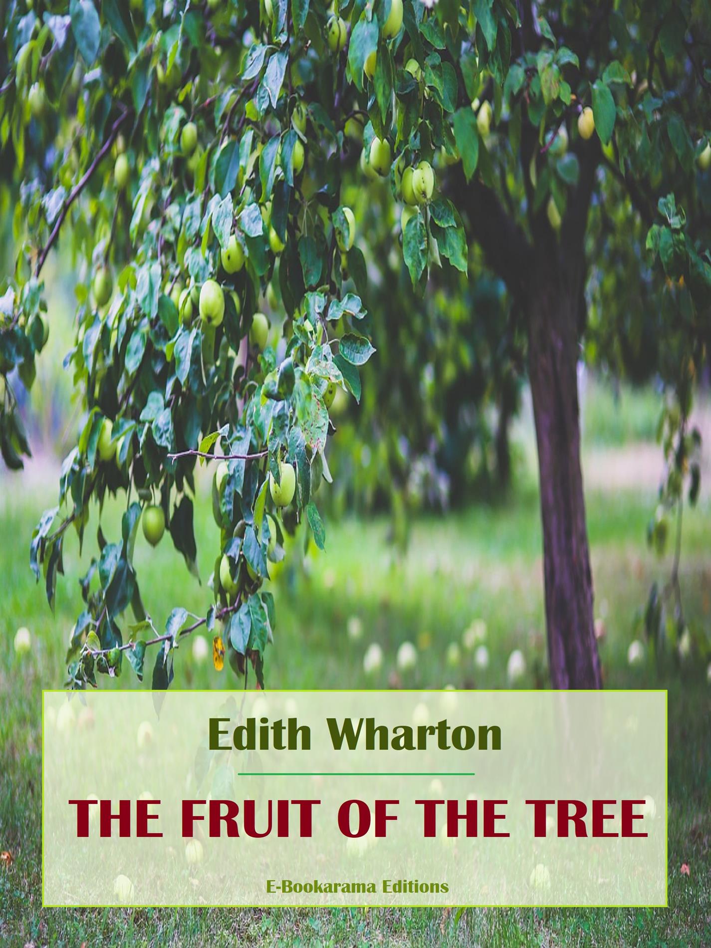 The Fruit of the Tree - Edith Wharton - E-Book