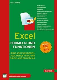 Excel Formeln und Funktionen - Ignatz Schels - E-Book