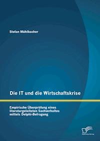 Die IT und die Wirtschaftskrise - empirische Überprüfung eines literaturgeleiteten Sachverhaltes mittels Delphi-Befragung - Stefan Mühlbacher - E-Book
