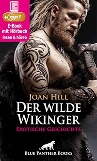 Der wilde Wikinger | Erotik Audio Story | Erotisches Hörbuch - Joan Hill - E-Book