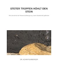 Steter Tropfen höhlt den Stein - Achim Rumberger - E-Book