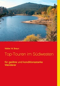 Top-Touren im Südwesten - Walter W. Braun - E-Book