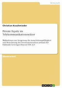 Private Equity im Telekommunikationssektor - Christian Koschmieder - E-Book