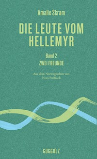 Die Leute vom Hellemyr, Band 2 - Amalie Skram - E-Book